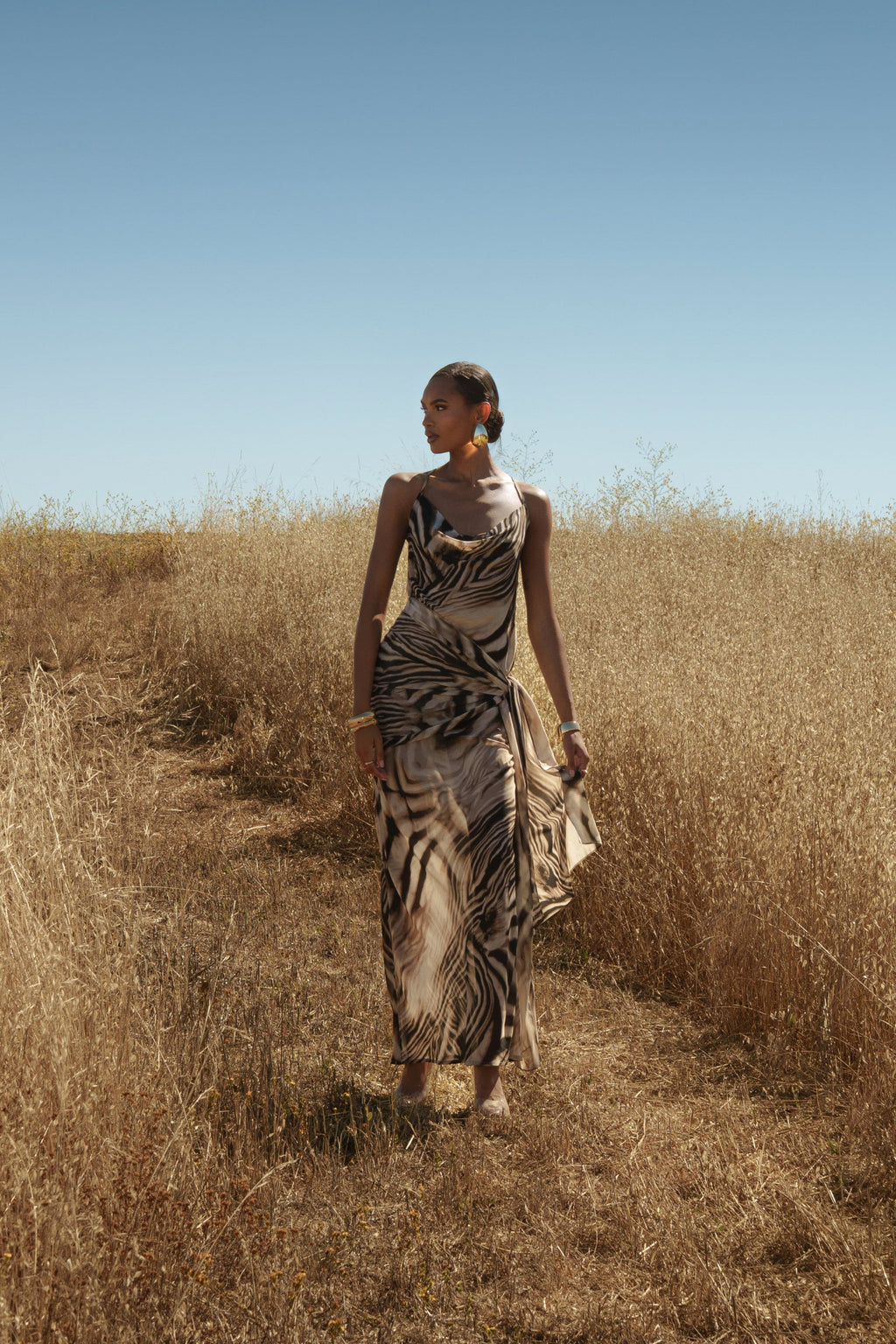 Brown Zebra Print Infinite Journey Maxi Dress